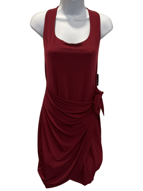 Express-Wine colored dress. Tie on the side/front.